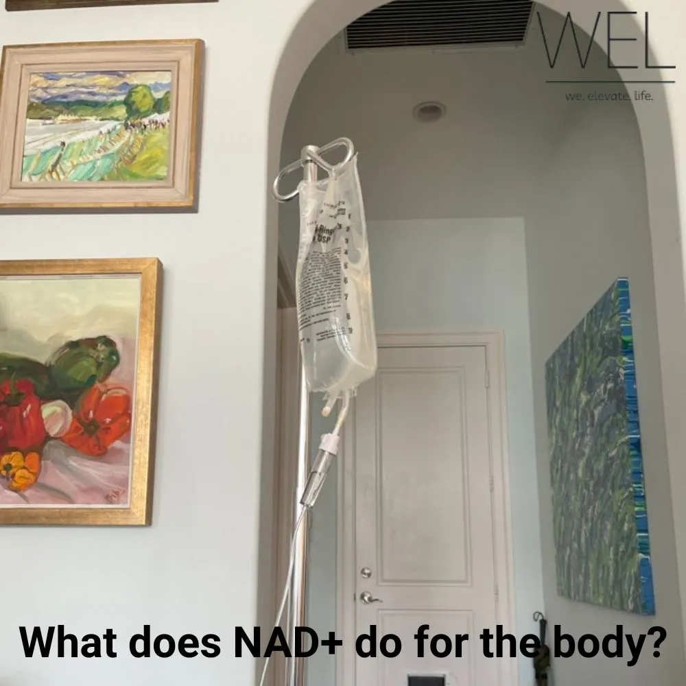 What does NAD+ do for the body